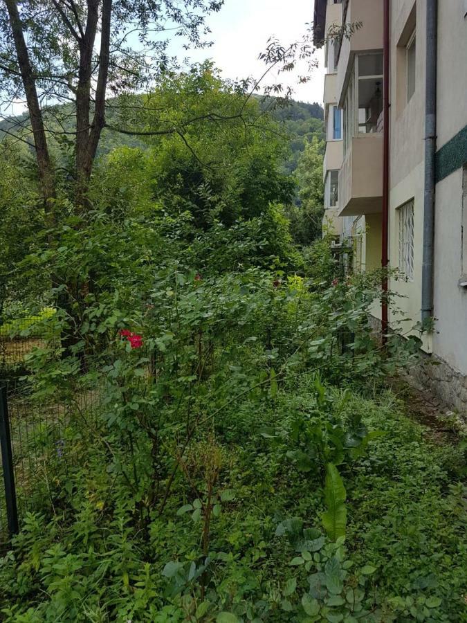Premium Apartment Sinaia Exterior foto